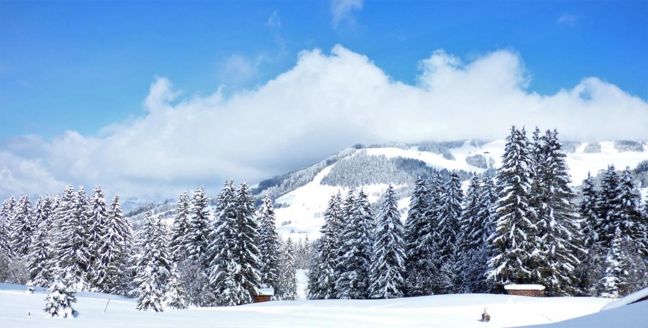 Hotel La Grange D'Arly Megève Buitenkant foto